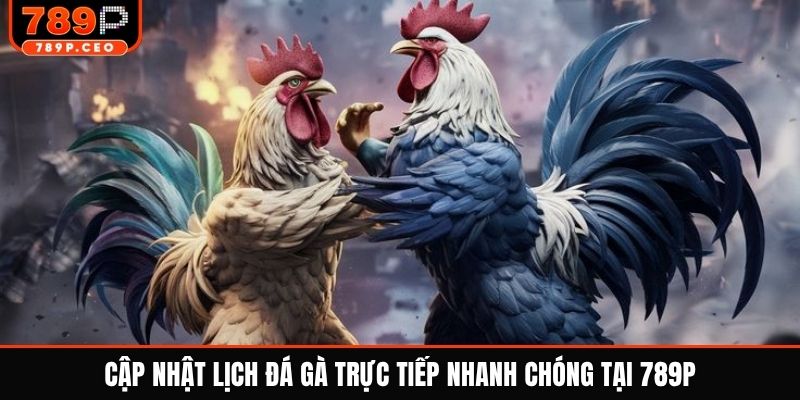 Cập nhật lịch đá gà trực tiếp nhanh chóng tại 789P